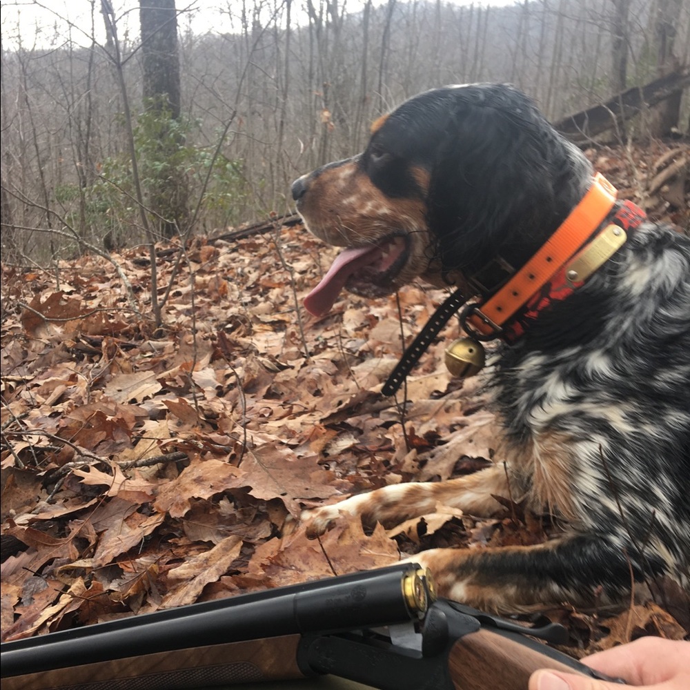 Meet your Posher, Austin